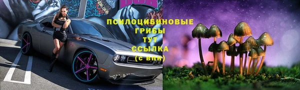 мдпв Лиски