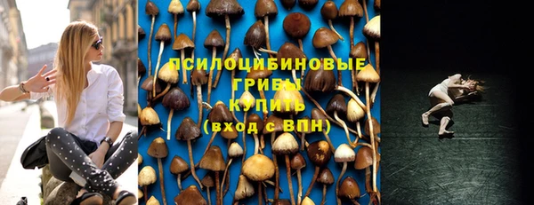 мдпв Лиски