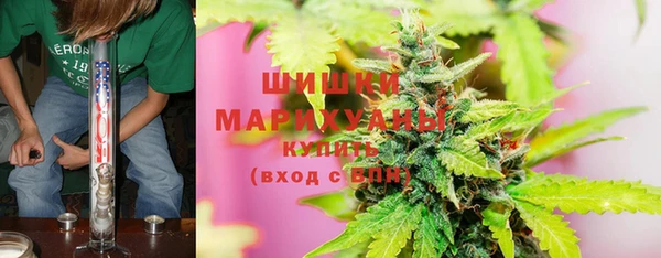мдпв Лиски